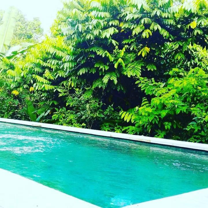 Bismajaya Bungalow Ubud Exterior foto